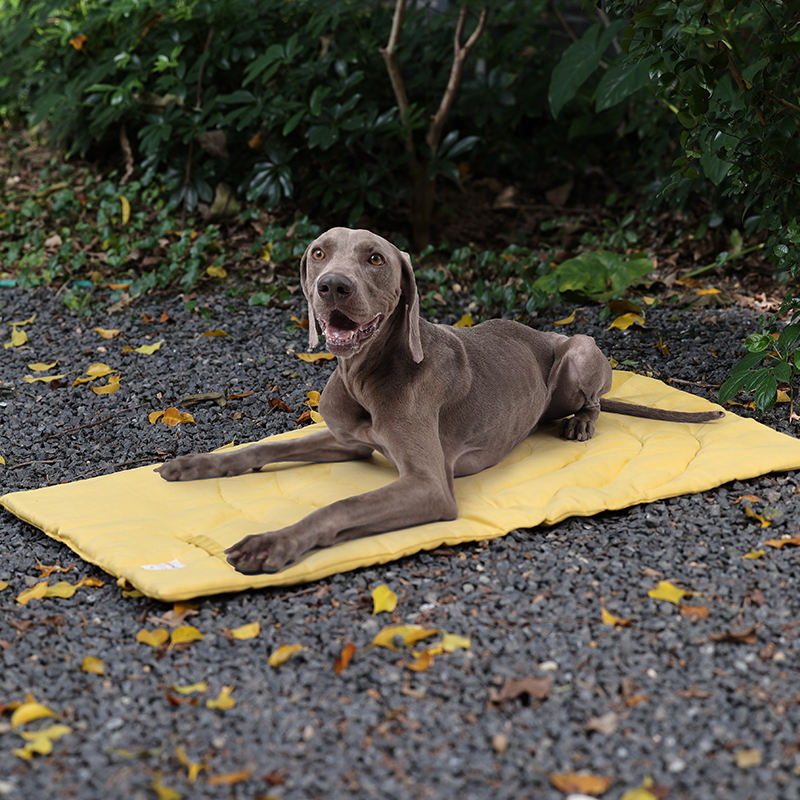 เสื่อสัตว์เลี้ยงแบบพกพาพับได้อ - Outdoor Camping Rugs บทวิจารณ์และราคา
