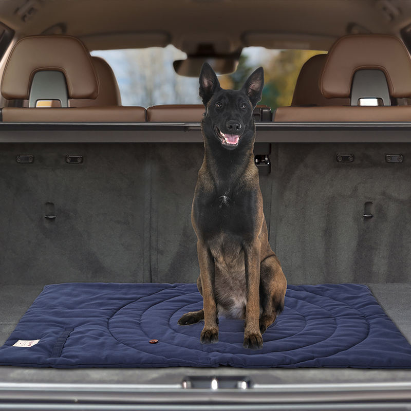 เสื่อสัตว์เลี้ยงแบบพกพาพับได้อ - Outdoor Camping Rugs บทวิจารณ์และราคา