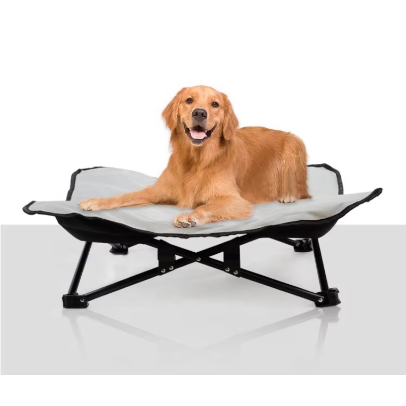 เตียงสุนัขแบบยกสูง ระบายอากาศไ - Outdoor Camping Beds For Sale บทวิจารณ์และราคา
